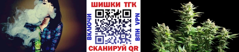 Канабис сатива  Сенгилей 